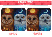 Load image into Gallery viewer, Colorful Night Owls Diamond Painting
