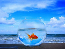 Load image into Gallery viewer, Amazing Water World Bottle Art