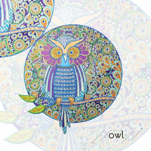 Unique Owl -  Special Shaped Diamond Kit