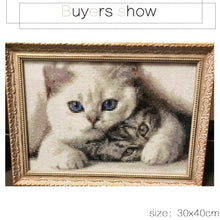 Load image into Gallery viewer, Adorable Little Cats