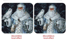 Load image into Gallery viewer, Huge Santa with Owl Diamond Painting Kits for Adults