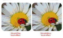 Load image into Gallery viewer, Beautiful Ladybug on Flower Painting by Diamonds