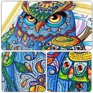 Elder Artistic Owl Diamond Painting