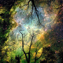 Load image into Gallery viewer, Beautiful Magic Tree Painting by Diamond Kits