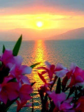 Load image into Gallery viewer, Most Beautiful Sunset Diamond Painting