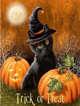 Load image into Gallery viewer, Black Cat &amp; Pumpkin