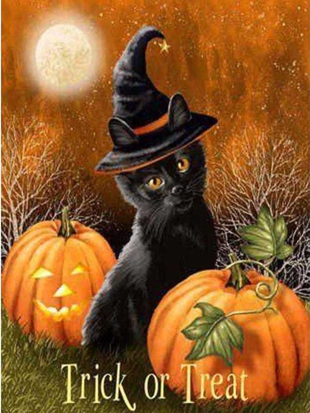 Black Cat & Pumpkin