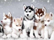 Load image into Gallery viewer, diamond painting