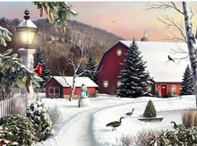 Load image into Gallery viewer, paint with diamonds