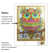 Load image into Gallery viewer, An Amazing Owl Diamond Art Kit