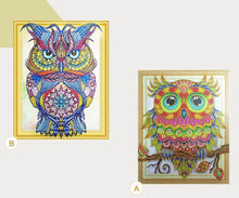 Load image into Gallery viewer, An Amazing Owl Diamond Art Kit