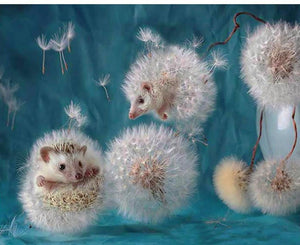Innocent Hedgehogs Paintings