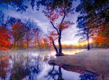 Load image into Gallery viewer, Impressive Landscapes - Diamond Art Painting Kits