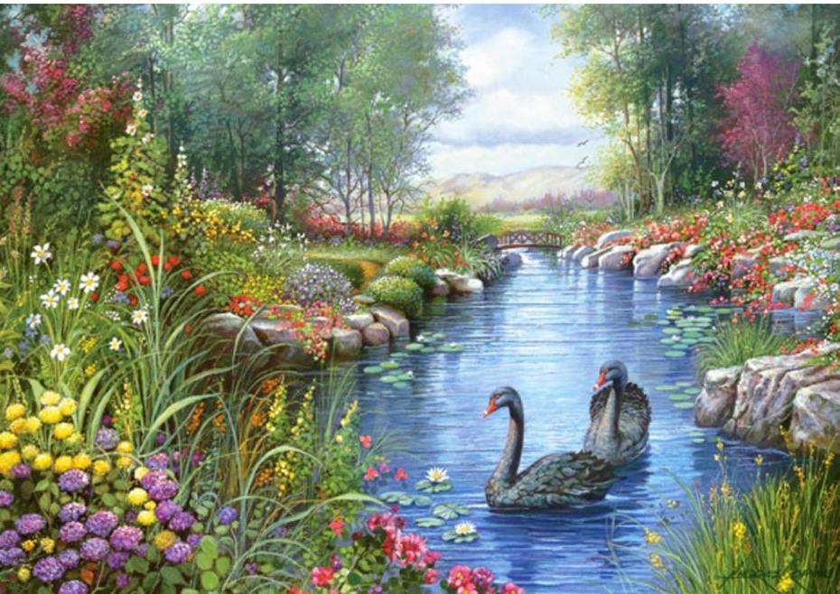 Wonderful Swans in a Beautiful Natural Pond