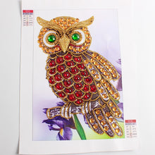 Load image into Gallery viewer, Green Eyes Owl special Diamond Art