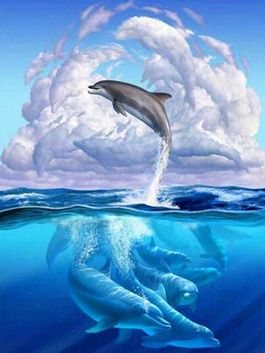 Incredible Dolphins jump
