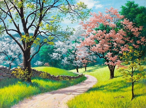 Beautiful Natural Landscapes