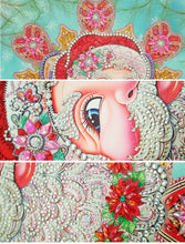 Load image into Gallery viewer, Happy Santa Special Diamond Art