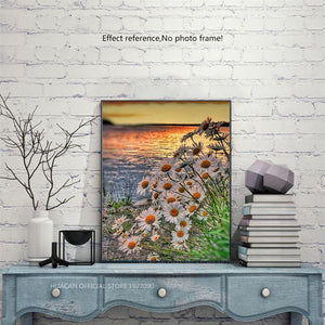Lovely Sunset on a Sea and White Sunflowers
