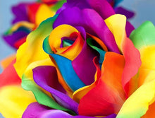 Load image into Gallery viewer, Attractive Multi color Roses - Paint by Diamonds