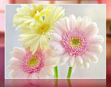 Load image into Gallery viewer, Excellent Pink and Yellow Flowers
