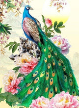 Load image into Gallery viewer, Colorful Elegant Peacock Diamond Painting 5D Kits