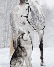 Load image into Gallery viewer, paint with diamonds