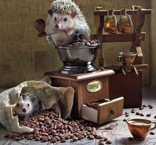 Load image into Gallery viewer, full diamond painting kit