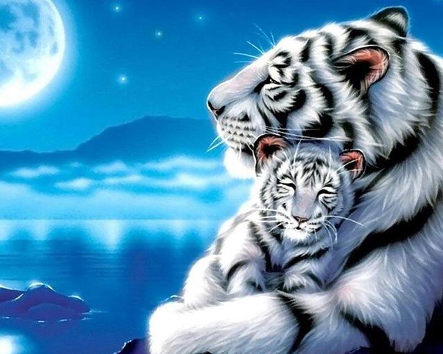 White Tiger Hugging the Cub