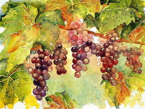 Grapes DIY Diamond Painting