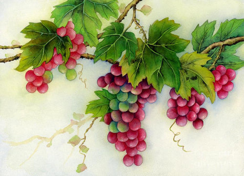 Grapes Diamond Painting Kit