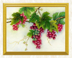 Red Grape Bunchs - DIY Diamond Painting