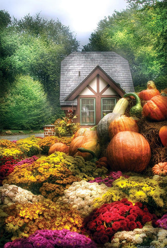 Pumpkins Diamond Painting