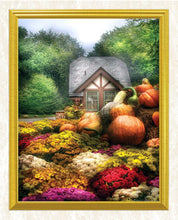 Load image into Gallery viewer, Giant Pumpkins in the Garden