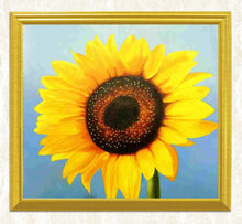Load image into Gallery viewer, Sunflower Close up Diamond Art Kit