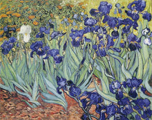 Load image into Gallery viewer, Van Gogh Flowers Painting