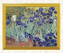 Load image into Gallery viewer, Irises Diamond Art Kit