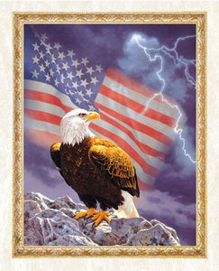 American Flag & Eagle Diamond Art Kit