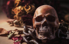 Load image into Gallery viewer, Creepy Skull Diamond Art Kit