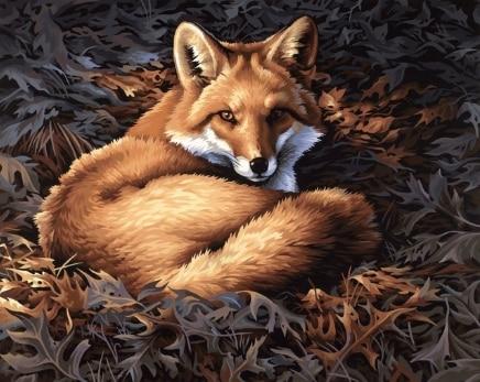 Amazing Foxes Diamond Painting Kits