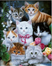 Load image into Gallery viewer, Beautiful Cats  Diamond Painting Kits