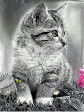 Load image into Gallery viewer, Beautiful Cats  Diamond Painting Kits
