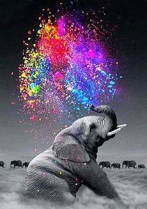 Elephant Colorful Paint by Diamond Art Kit