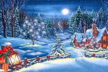 Load image into Gallery viewer, Snowscapes Diamond Art Paintings Collection
