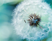 Load image into Gallery viewer, Dandelion Diamond Art Kit