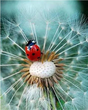 Load image into Gallery viewer, Dandelion Diamond Art Kit