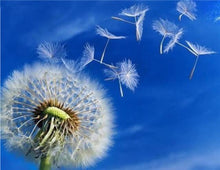 Load image into Gallery viewer, Dandelion Flowers Painting Kit