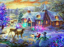 Load image into Gallery viewer, 5D Diamond Paintings