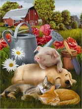 Load image into Gallery viewer, Dogs Diamond Art Painting Kits