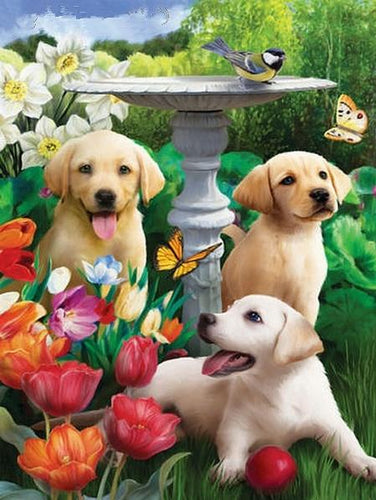 Dogs Diamond Art Painting Kits